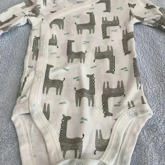 Carter’s onesie - Picture 2 of 5